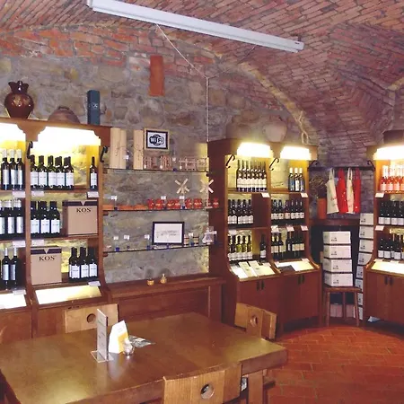 Apartmaji Svetinje * Ljutomer